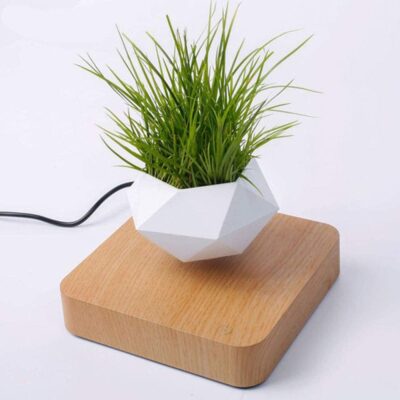 babook levitating pot for plants hetro solutions